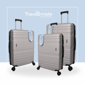 ABS Delsey Grey